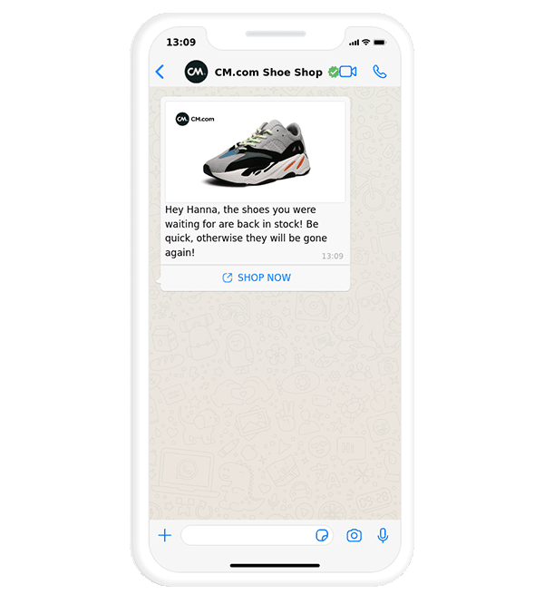 WhatsApp newsletters back in stock
