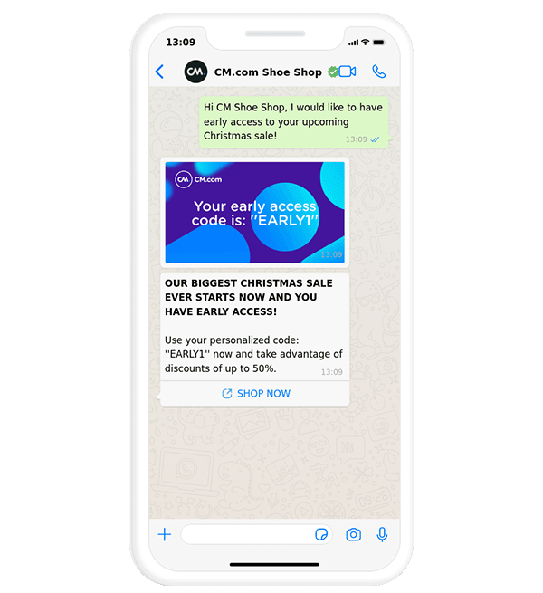 WhatsApp newsletter early bird