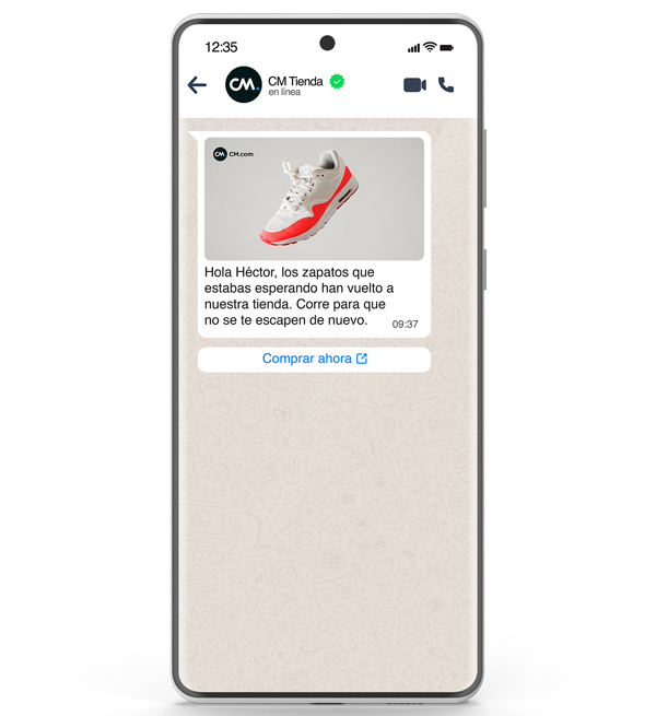 Whatsapp-business-actualizacion-stock