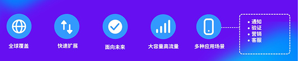 international-voice-cm-advantages