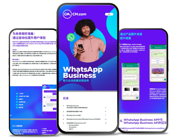 whatsapp-business-guide